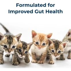 PetAg KMR Powder Milk Supplement For Kittens & PetAg KMR Liquid Milk Supplement For Kittens -Trixie || Catit || Nature's Miracle Shop 947822 PT8. AC SS1800 V1693344547