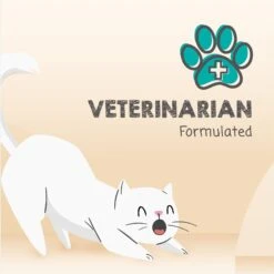 Meowee! Savory Spoonables Chicken, Salmon & Duck Lickable Cat Treat 17 Meowee! Savory Spoonables Chicken, Salmon & Duck Lickable Cat Treat -Trixie || Catit || Nature's Miracle Shop 953342 PT6. AC SS1800 V1698949081