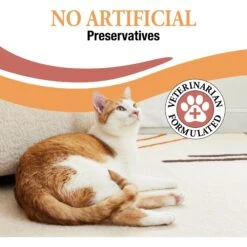 Good 'n' Tasty Savory Spoonables Chicken, Salmon & Duck Lickable Cat Treat -Trixie || Catit || Nature's Miracle Shop 953390 PT4. AC SS1800 V1698869130