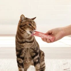 Good 'n' Tasty Savory Spoonables Chicken, Salmon & Duck Lickable Cat Treat -Trixie || Catit || Nature's Miracle Shop 953390 PT8. AC SS1800 V1698949052