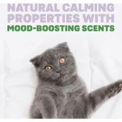 Naturally Fresh Harmony Lavender & Bamboo Scented Clumping Cat Litter -Trixie || Catit || Nature's Miracle Shop 961182 PT4. AC SS1800 V1697727174