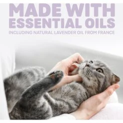 Naturally Fresh Harmony Lavender & Bamboo Scented Clumping Cat Litter -Trixie || Catit || Nature's Miracle Shop 961182 PT5. AC SS1800 V1697726330