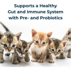 PetAg KMR Powder Milk Supplement For Kittens -Trixie || Catit || Nature's Miracle Shop 97826 PT4. AC SS1800 V1669394316