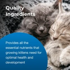 PetAg KMR Liquid Milk Supplement For Kittens 13 PetAg KMR Liquid Milk Supplement For Kittens -Trixie || Catit || Nature's Miracle Shop 97831 PT5. AC SS1800 V1669392861