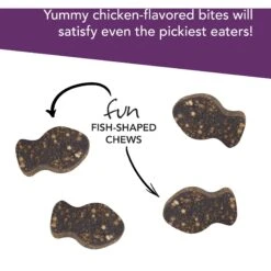 VetriScience Vetri-Lysine Plus Chicken Liver Flavored Soft Chews Immune Supplement For Cats 12 VetriScience Vetri-Lysine Plus Chicken Liver Flavored Soft Chews Immune Supplement For Cats -Trixie || Catit || Nature's Miracle Shop 98132 PT4. AC SS1800 V1659634945