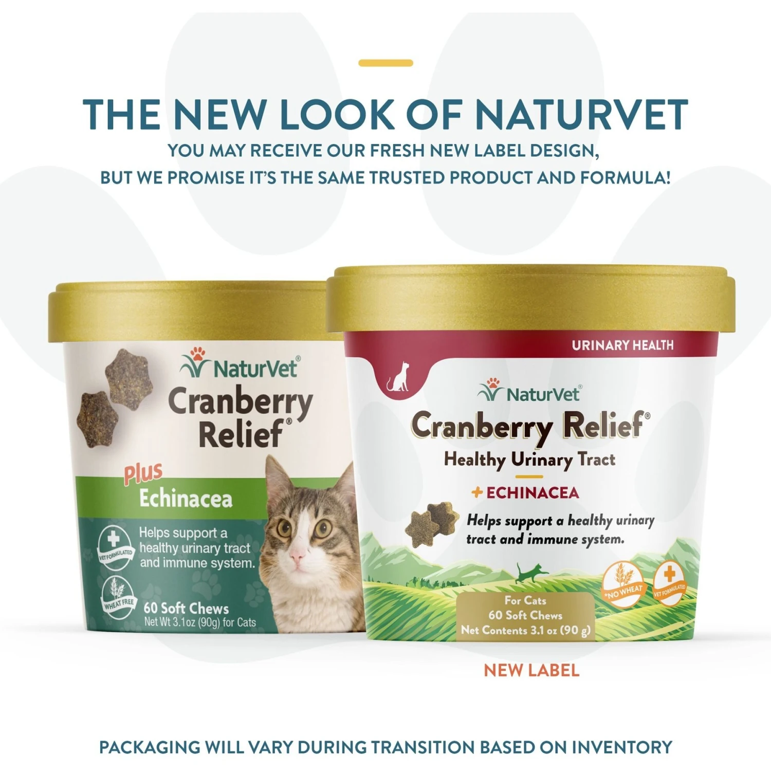 NaturVet Cranberry Relief Plus Echinacea Soft Chews Urinary Supplement For Cats 4 NaturVet Cranberry Relief Plus Echinacea Soft Chews Urinary Supplement For Cats - Image 2