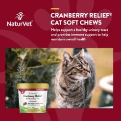 NaturVet Cranberry Relief Plus Echinacea Soft Chews Urinary Supplement For Cats 13 NaturVet Cranberry Relief Plus Echinacea Soft Chews Urinary Supplement For Cats -Trixie || Catit || Nature's Miracle Shop 99409 PT3. AC SS1800 V1698693733