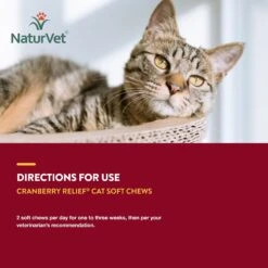 NaturVet Cranberry Relief Plus Echinacea Soft Chews Urinary Supplement For Cats 16 NaturVet Cranberry Relief Plus Echinacea Soft Chews Urinary Supplement For Cats -Trixie || Catit || Nature's Miracle Shop 99409 PT6. AC SS1800 V1698697703