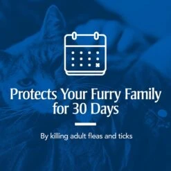 PetArmor Flea & Tick Spot Treatment For Cats, Over 1.5 Lbs -Trixie || Catit || Nature's Miracle Shop 99696 PT5. AC SS1800 V1595086856