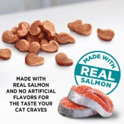 Meow Mix Irresistibles Soft Salmon Cat Treats -Trixie || Catit || Nature's Miracle Shop 99955 PT2. AC SS1800 V1489088265
